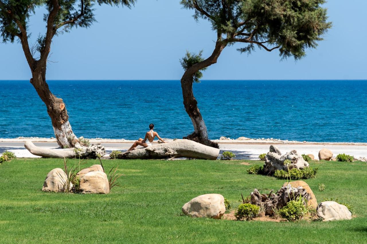 Artemis Seafront Villa, An Evanescence Sea Retreat, By Thinkvilla Tavronitis  Bagian luar foto